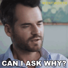 Can I Ask Why Greg Miller GIF - Can I Ask Why Greg Miller Wentworth GIFs