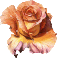 Roses Love Sticker - Roses Love Orange Rose Stickers
