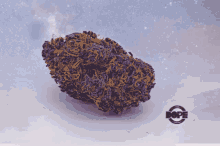 The Dope Content Cannabis GIF - The Dope Content Cannabis Dope Content GIFs
