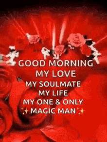 good morning my love heart my soulmate my life my one and only good morning my love heart my soulmate my life my one and only