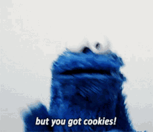 Cookie Monster You Got Cookies GIF - Cookie Monster You Got Cookies Sesame GIFs