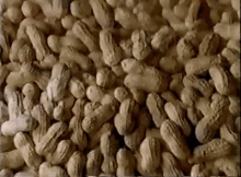 Nuts For Snickers GIF - Snickers Snicker Peanuts GIFs