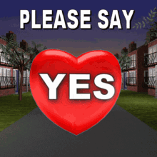 Please Say Yes Pretty Please GIF - Please Say Yes Yes Please GIFs