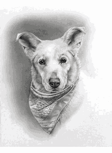 Custom Dog Portrait Animal Portrait Artist GIF - Custom Dog Portrait Animal Portrait Artist GIFs
