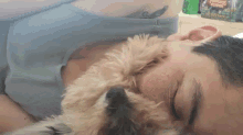 Shh Human Sleep Now GIF - Puppy Dog Pet GIFs