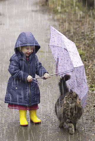 [Image: umbrella-cat.gif]