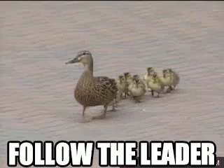 Follow The Leader GIF - Follow The Leader GIFs
