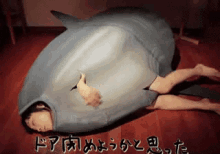 Japan, Ever Strange GIF - Molamola Sunfish Japanese GIFs