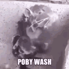 Hugo Wash Poby Wash GIF - Hugo Wash Hugo Wash GIFs