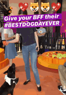 Your Day Is Never Complete Without A Dog Give Your Bff Their Best Dog Day Ever GIF - Your Day Is Never Complete Without A Dog Give Your Bff Their Best Dog Day Ever Dog GIFs
