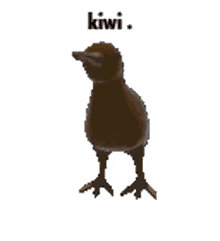 Kiwi Bird GIF - Kiwi Bird Esmbot GIFs