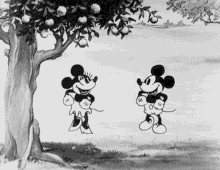 Mickey Mouse GIF - Mickey Mouse Dance GIFs