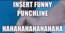 Punchline Insert GIF - Punchline Insert Hahaha GIFs