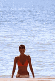 Smiling Swimming GIF - Smiling Swimming Beach Body GIFs