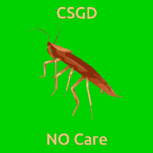 Csgd No Care GIF - Csgd No Care Cockroach GIFs