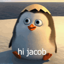 jacob hi penguin