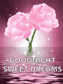 Sparkles Good Night GIF - Sparkles Good Night Sweet Dreams GIFs