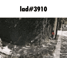 Lad3910 Not Funny GIF - Lad3910 Not Funny The Bone Zone GIFs