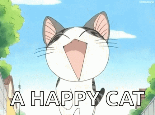 Happy Cat Gif Happy Cat Discover Share Gifs