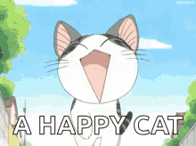 happy cat
