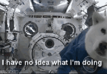 Dog In Space Dog GIF - Dog In Space Dog I Have No Idea GIFs
