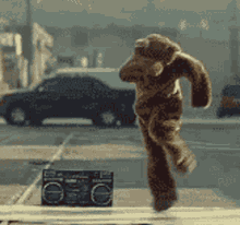Dancing Bear GIF - Dancing Bear Excited GIFs