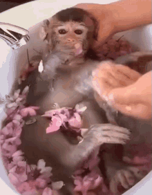 Relaxed Shower GIF - Relaxed Shower Time GIFs