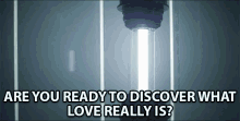 Are You Ready To Discover What Love Really Is GIF - Are You Ready To Discover What Love Really Is Ready Discover GIFs