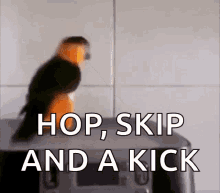 Hopping Jumping GIF - Hopping Jumping Bird GIFs