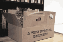 A Very Special Delivery GIF - Special Delivery Delivery A Very Special Delivery GIFs