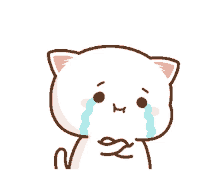 peachcat crying tears cute white cat