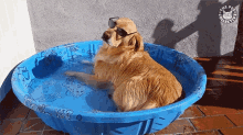 Cooling Off Summer Feels GIF - Cooling Off Summer Feels Tanning GIFs