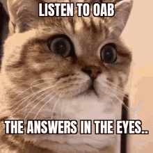 Podcast Oab GIF - Podcast Oab On Asphalt Bones GIFs