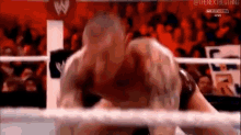 randy orton randy orton wwe rko