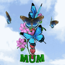 mum mom butterflies 3d gifs artist love you mum