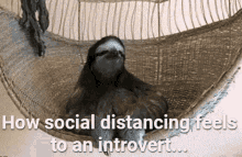Introvert Sloth GIF - Introvert Sloth How Social Distancing GIFs