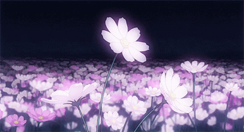 flowers-anime.gif