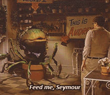 seymour feed me plant little shop of horrors seymour feed me plant little shop of horrors