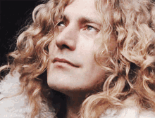 led zeppelin judging you glare robert plant percy plant led zeppelin judging you glare robert plant percy plant