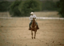 cowboy caballero horseman horseback rider troubadour cowboy caballero horseman horseback rider troubadour