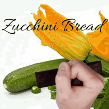 keywebco recipes zucchini