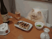 cat meal mean angry dinner