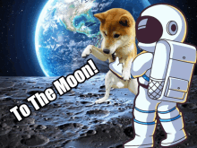 Dogecoin Meme GIF - Dogecoin Meme Doge GIFs