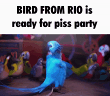 Bird From Rio Rio GIF - Bird From Rio Rio Piss Party GIFs