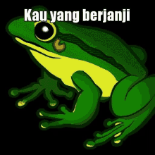 frog wink and point jokowi
