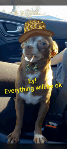 Everything Will Be Ok Dog GIF - Everything Will Be Ok Dog Doggo GIFs