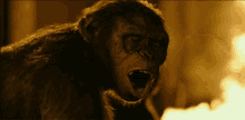 koba planet of the apes