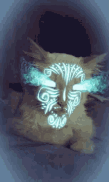 Magic Cat GIF - Cat Angry Treats GIFs