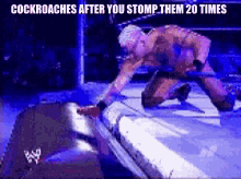 Undertaker Cockroaches After You Stop20times GIF - Undertaker Cockroaches After You Stop20times Wwe GIFs