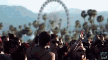 Coachella GIF - Coachella GIFs